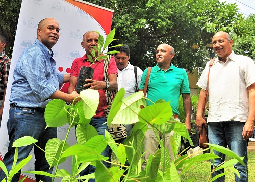 2500 ÁRBOLES PARA CUMPLIR SUEÑOS CON EL MEDIO AMBIENTE 2500 ÁRBOLES PARA CUMPLIR SUEÑOS CON EL MEDIO AMBIENTE